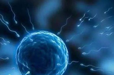 呼和浩特试管婴儿私立医院哪家好？内附最新助孕价格及成功率