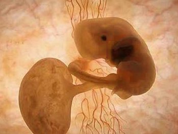 肇庆助孕机构要怎么选择？这五家机构技术都比较靠谱