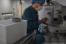 陕西试管婴儿费用大约多少钱？高龄做试管助孕如何提高成功率