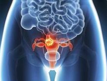 美国试管婴儿成功率揭秘，如何突破传统，实现高成功率