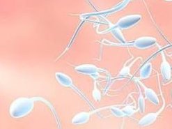 泰国试管婴儿有伤害？女性朋友怎么看待